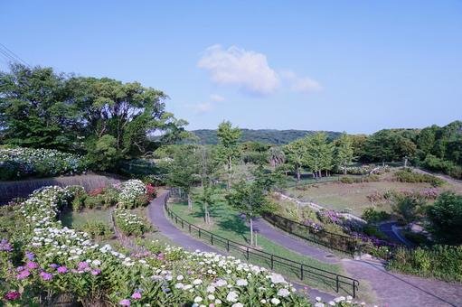 🏞️ 타카토야마 공원(타카토야마 코엔) 이미지 7